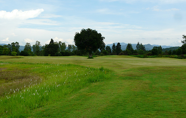 fairway, artitaya-golf-and-resort, chiang mai, thailand